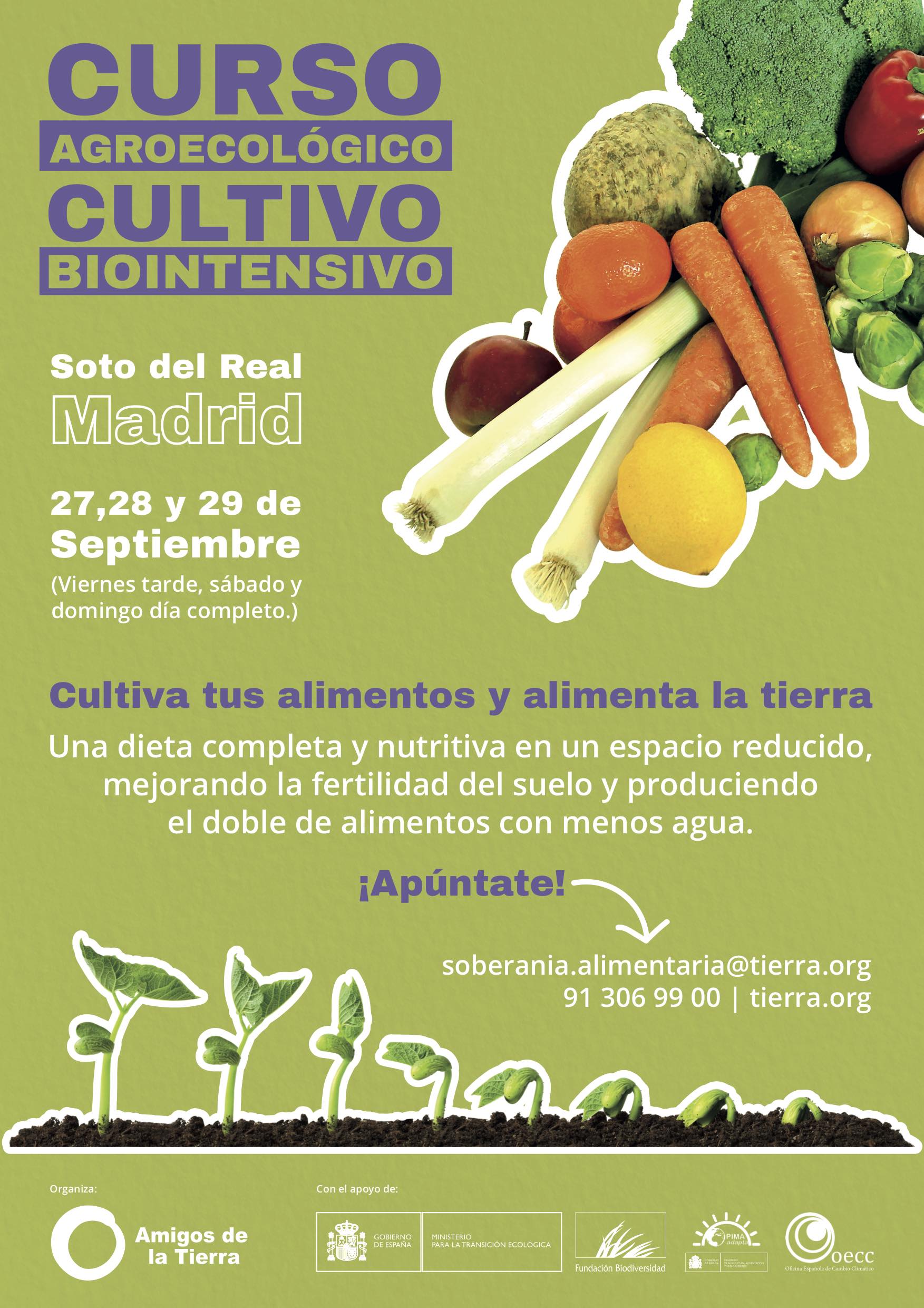CARTEL