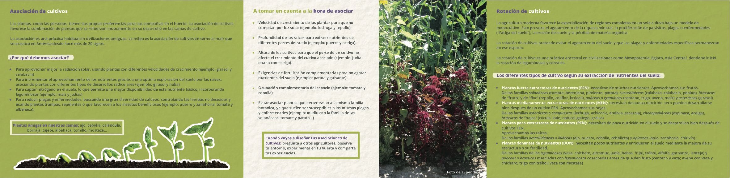 Plantilla Portada Trabajos
